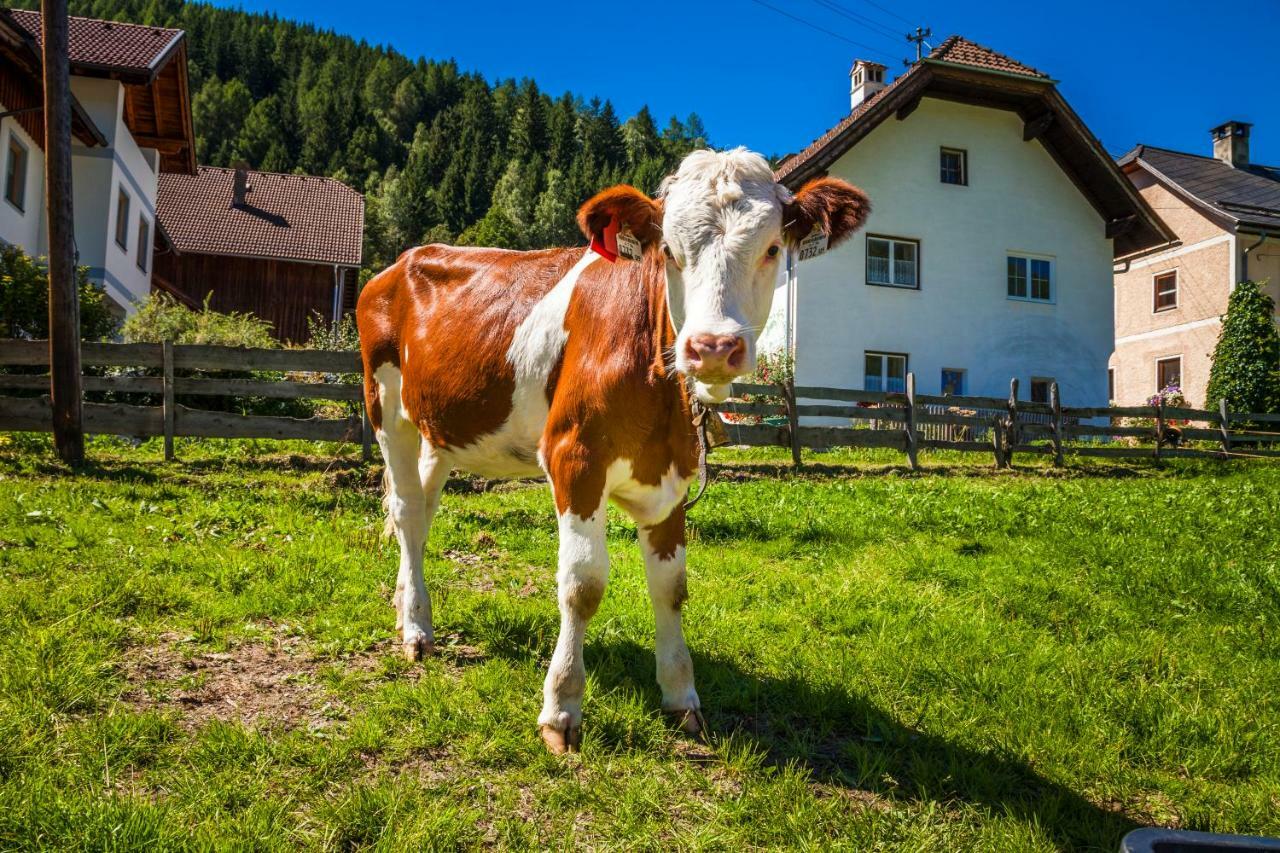 Grillhof-Gut Villa Mauterndorf  Exteriör bild
